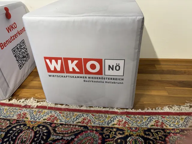 KI- und Marketing-Workshops zählten 2025 zu den stark nachgefragten Angeboten der Wirtschaftskammer. | Foto: Alexandra Goll