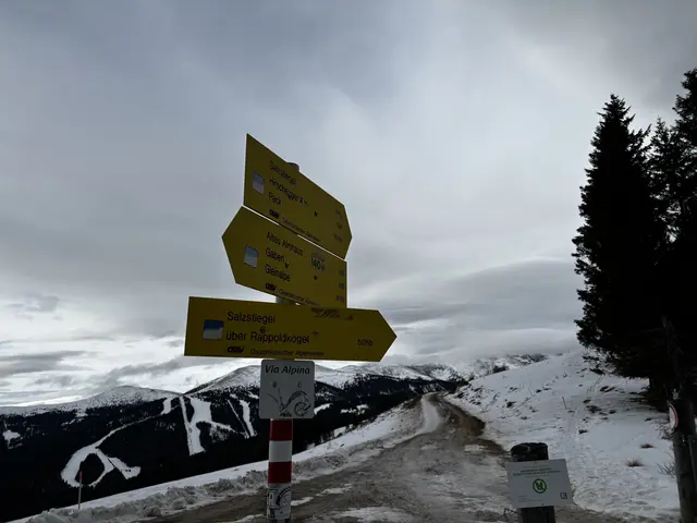 Bei dieser Gabelung führt ein Pfad (rechts vom Forstweg) in den Wald zum Rappoldkogel.