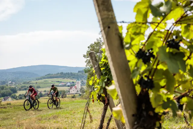 Graveltour Langenlois - Gföhl, Schiltern, Weingarten. | Foto: Waldviertel Tourismus, Erwin Haiden