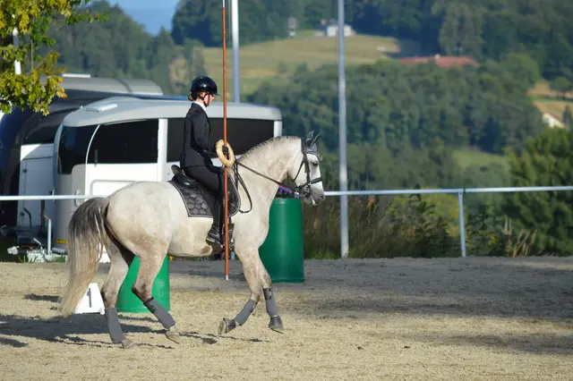 Christina Zeindlhofer möchte dieses Jahr in der Klasse L noch sicherer reiten und eventuell einen Start in der Klasse M wagen.  | Foto: Lena Seir ls_fotografie