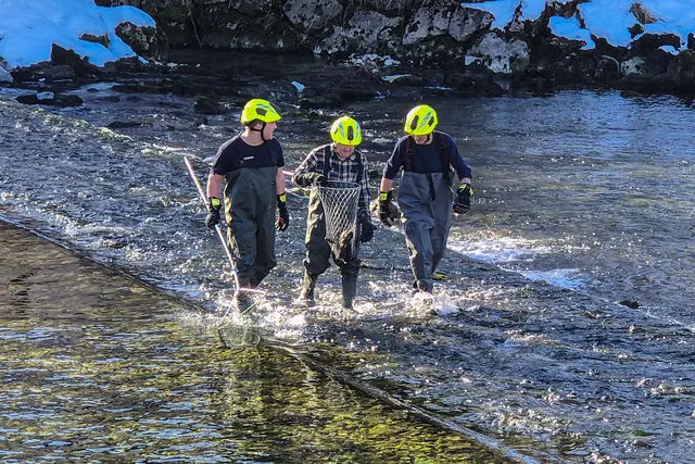 Einen verletzten Kormoran musste die FF Bad Goisern mitten aus dem Traunfluss retten. | Foto: FF Bad Goisern