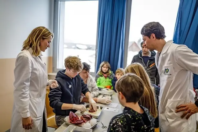 Foto: BG Tanzenberg