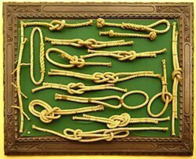 Bíld 12; Knotenarten | Foto: Wikipedia