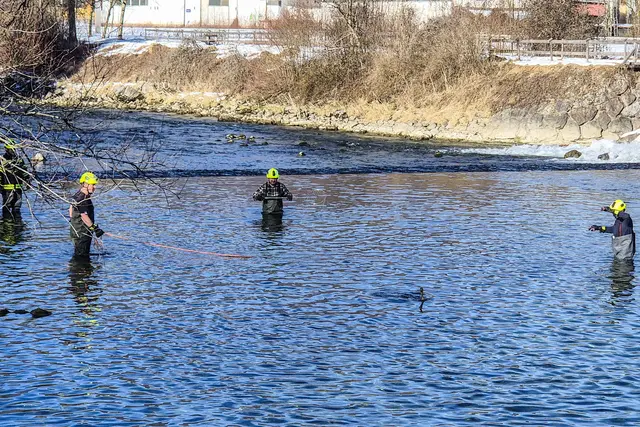 Foto: FF Bad Goisern