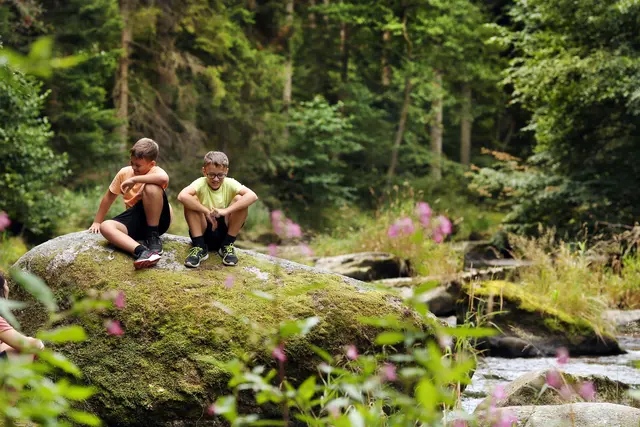 Wasserwunderweg bei Zwettl. | Foto: Waldviertel Tourismus, weinfranz