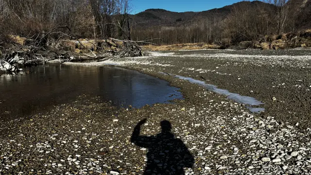 Inmitten des Schopperstatt-Nebenarmes der Donau