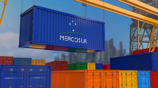 Die heimische Wirtschaft sieht im Mercosur-Abkommen große Exportchancen, Landwirte in der Region fürchten den zusätzlichen Importdruck.  | Foto: Smarterpix/MMollaretti