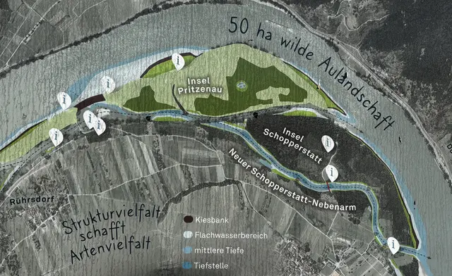 Skizze der "Auenwildnis" bei Rossatz (Quelle: viadonau)