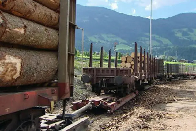 Probleme gibt es aktuell nicht nur bei Abfalltransporten, sondern auch bei den Holztransporten. | Foto: MeinBezirk