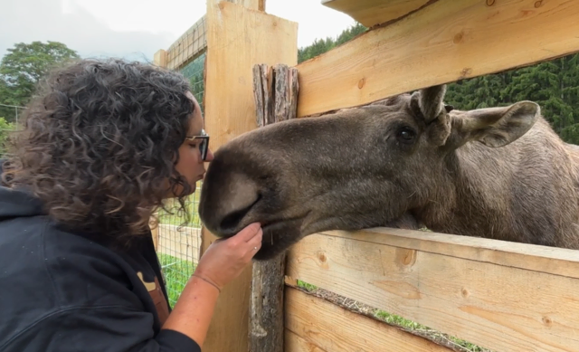 So zutraulich wie Brutus ist Neuzugang Hannah noch nicht; hier mit Michelle Friedam auf Tuchfühlung. | Foto: MeinBezirk/Angelika Kern