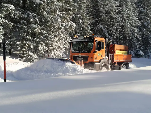 Winterdienst | Foto: NÖ Straßendienst