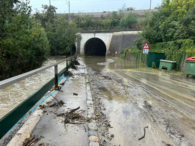 Die Kreuzung B44, Einfahrt Irenental während des Hochwassers 2024 | Foto: VP Tullnerbach
