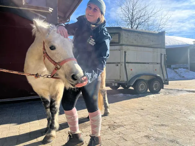 Die Pony-Stute "Mariposa" kam mit 200 Kilo Übergewicht in die Pferdeklappe. Nun ist sie wieder leichtfüßig und sucht ein neues Zuhause. | Foto: Österreichischer Tierschutzverein