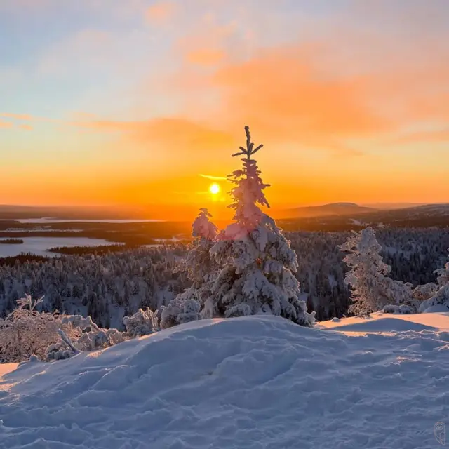 Die schönsten Momente des Jänners 2026 – festgehalten von unserer Community. | Foto: Ing. Josef Glaser