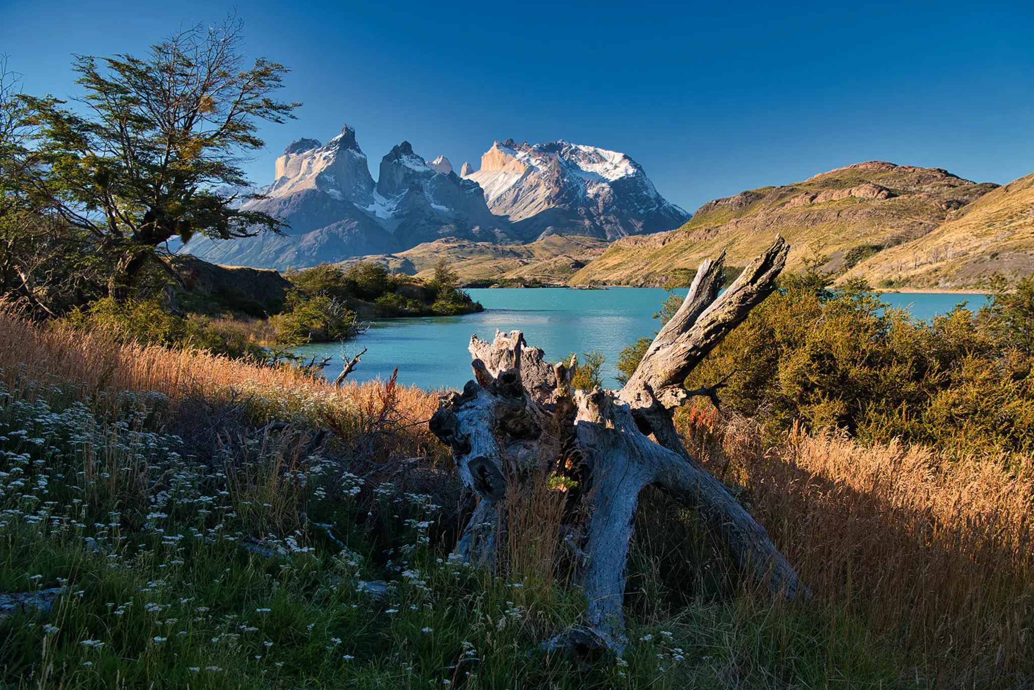 Chile, Argentina & Easter Island: Wolfgang Kunstmann presents his ...