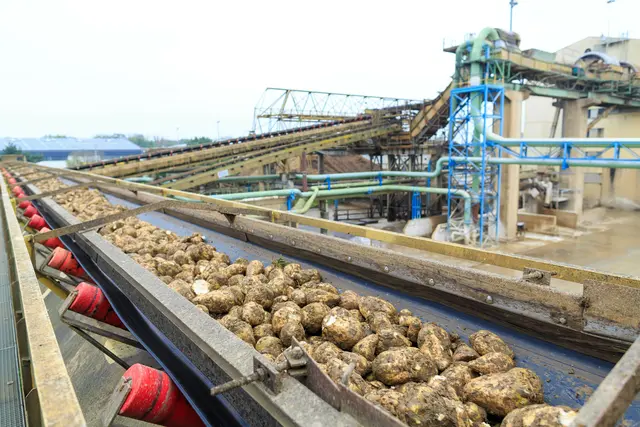 Die Zuckerrübenverarbeitung bei Agrana. | Foto: Agrana