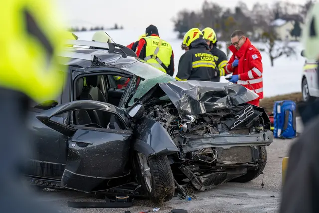 Foto: TEAM FOTOKERSCHI / MARTIN SCHARINGER