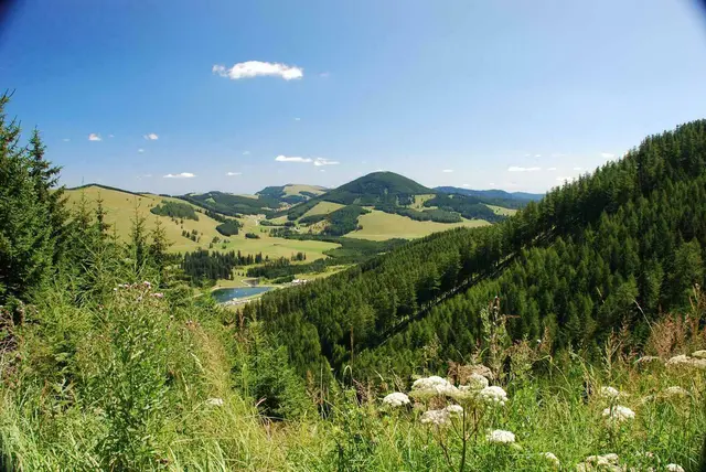 Die sieben steirischen Naturparke – darunter der Naturpark Almenland – sowie der Verein Naturparke Steiermark werden mit insgesamt 550.000 Euro gefördert.  | Foto: Almenland