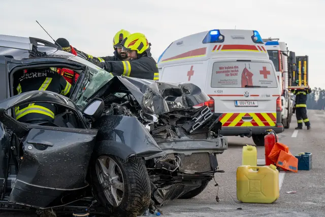 Foto: TEAM FOTOKERSCHI / MARTIN SCHARINGER