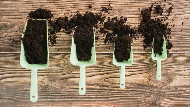 Nachhaltige Grünschnittentsorgung und Bio-Erde von RR-Biomüllexpress für regionale Gärten aus Friedberg. | Foto: Freepik