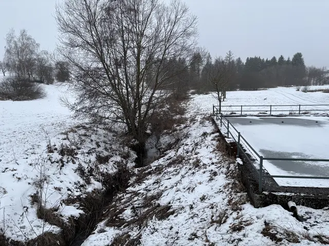 Der Betzbach in Neupölla rückt für die Bewohner und die Ermittlungen nach der Ursache der Verunreinigung in den Mittelpunkt. | Foto: Bernhard Schabauer