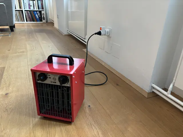 Mit diesem Heizstrahler kann Peter zumindest ein Zimmer auf 18 Grad Raumtemperatur bringen.   | Foto: Luca Arztmann/MeinBezirk
