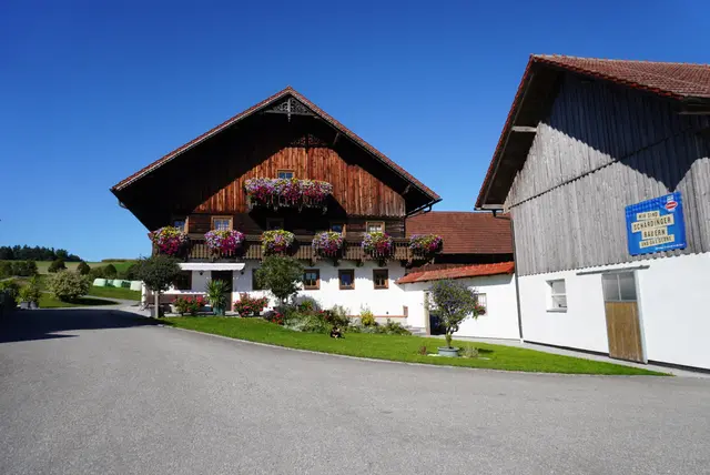 Perndorfer übernahm den elterlichen Betrieb im Jahr 2023. | Foto: Perndorfer