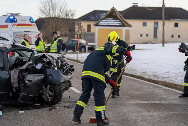 Foto: TEAM FOTOKERSCHI / MARTIN SCHARINGER