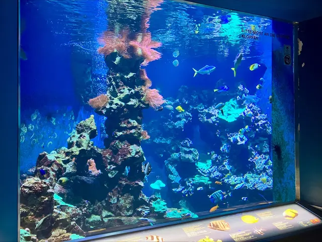 Foto: (c) hlwspittal 2026 Medienteam