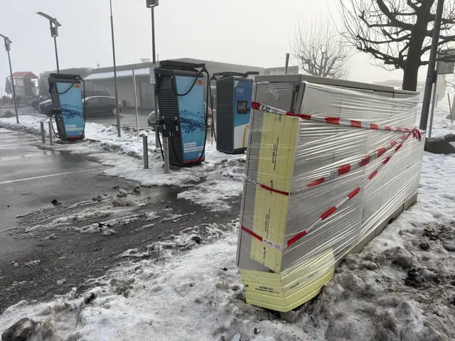 Nach einer Öffentlichkeitsfahndung stellte sich der Lenker der Polizei. | Foto: Zoom.tirol