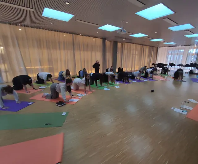 Foto: (c) hlwspittal 2026