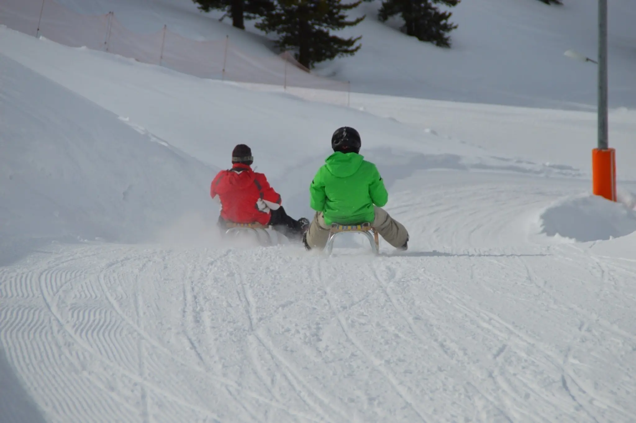 Sledding accident: Woman seriously injured - | Viennese couple crashes ...