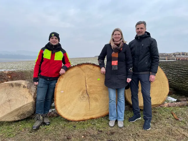  Waldhelfer Josef Oberlindober (li.) freut sich mit dem Besitzer Wilfried Söllradl und Anni Pichler über das tolle Ergebnis.  | Foto: Steinegger