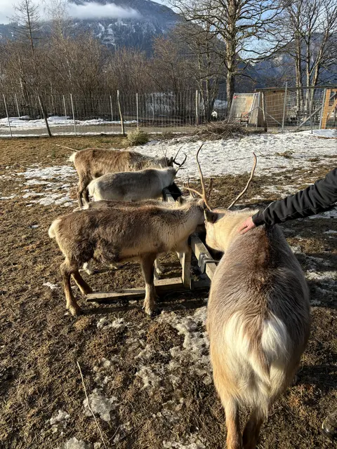 Foto: MeinBezirk/Angelika Kern