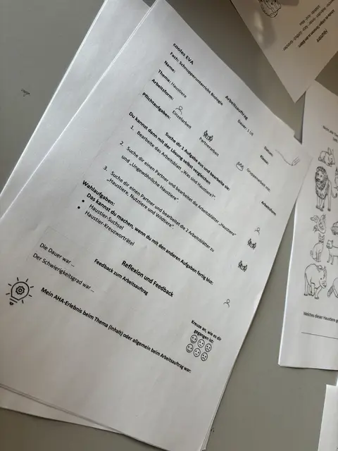Es wird mit Arbeitsaufträgen gearbeitet, die entweder selbstständig oder gemeinsam in der Gruppe erledigt werden können. | Foto: Barbara Babonitsch-Diewald