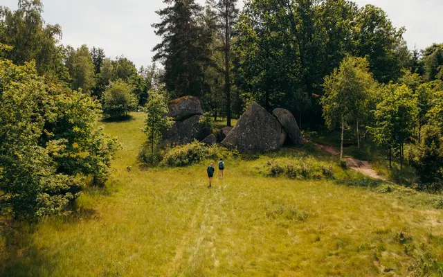 Ein Besuch im wunderschönen Naturpark Blockheide ist Pflicht. | Foto: Waldviertel Tourismus, Melanie Többe