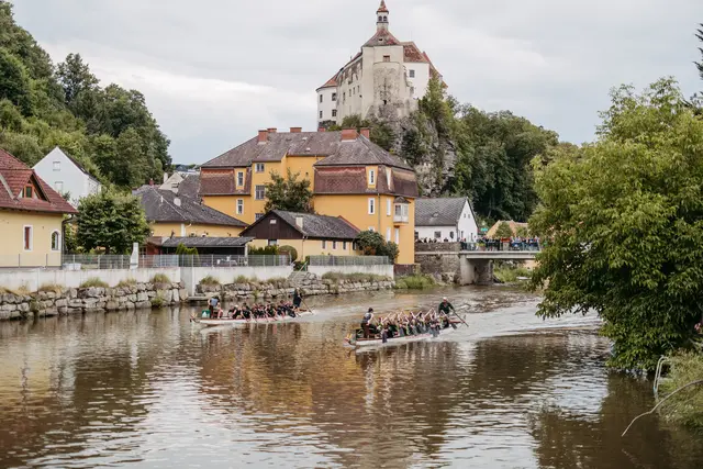 Drachenbootrennen: 64 Boote waren 2025 in Raabs am Start und lieferten sich wieder spannende Rennen auf der Thaya. | Foto: Melanie Köberl