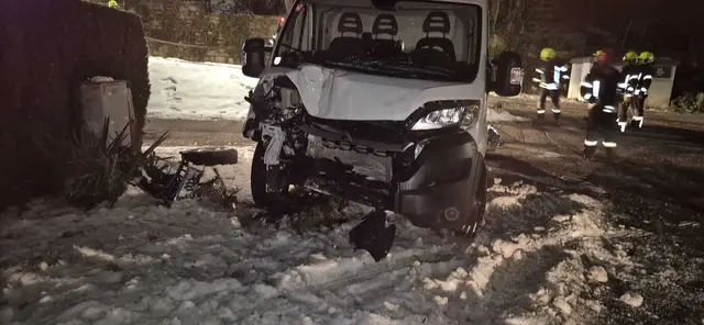 Der Pkw kollidierte mit einer Thujenhecke auf einem Privatgrundstück.  | Foto: FF Walpersbach
