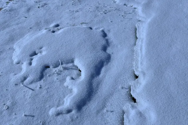 ...wer schläft den da am Boden...?
vielleicht ein "Schneemonster."..