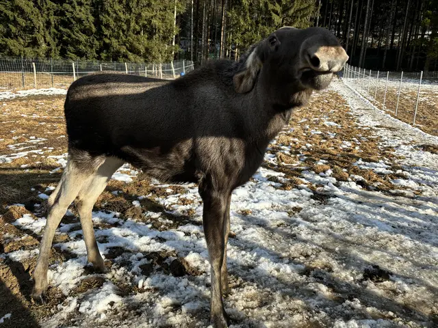 Foto: MeinBezirk/Angelika Kern