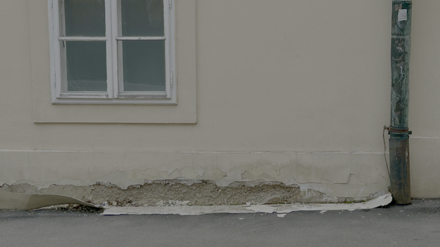 Abblätternder Putz prägt das Erscheinungsbild der Fassade des Altmannsdorfer Schlosses. | Foto: z. V. g.
