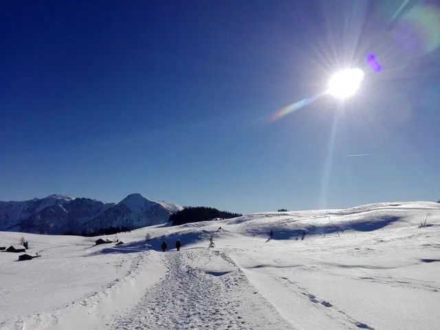 Die Postalm zeigt sich im Winter von ihrer stillen Seite. | Foto: TVB Abtenau