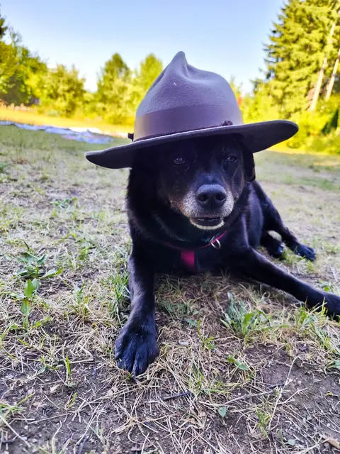 Auch vierbeinige Pfadfinder sind willkommen.  | Foto: Pfadfindergruppe Porcia