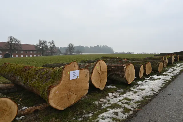 Foto: LK OÖ