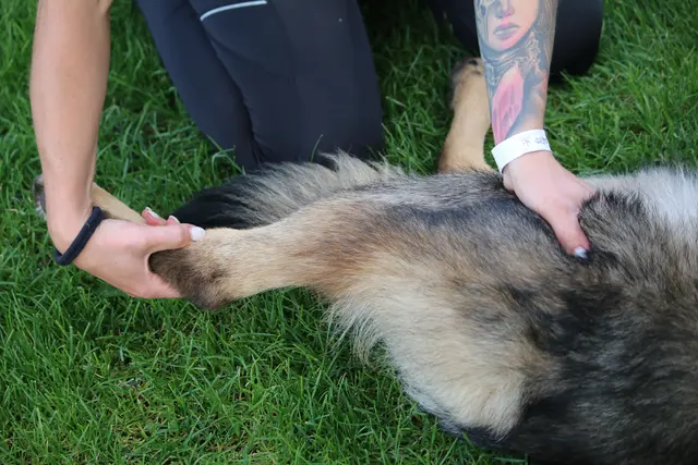 Foto: Carina Pichler