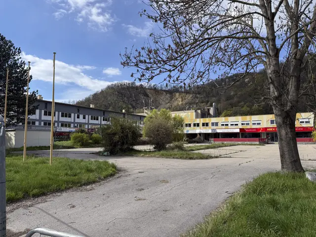 Auf diesem Gelände in der Plabutscherstraße sollen in Zukunft statt Gewerbe Wohnungen stehen. | Foto: Zemasch