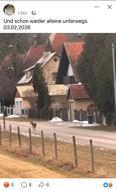 Dieses Bild sorgte am 3. Februar für Entrüstungsstürme. | Foto: privat