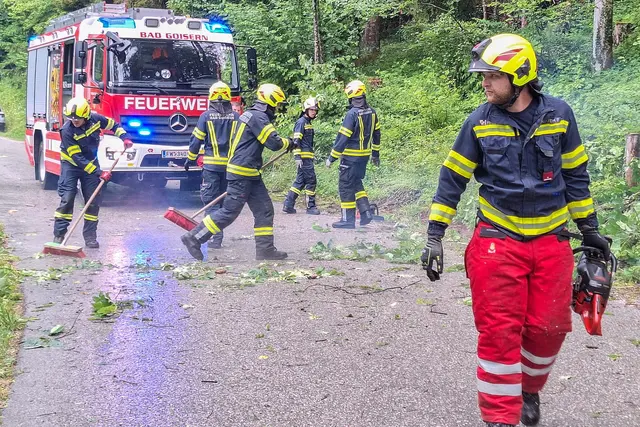 Foto: FF Bad Goisern