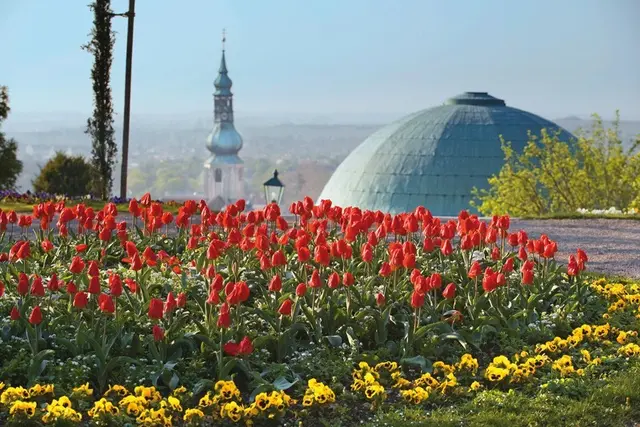 Blick auf die Stadt Baden © Stadtgemeinde Baden_Lammerhuber   | Foto: Stadtgemeinde Baden_Lammerhuber  