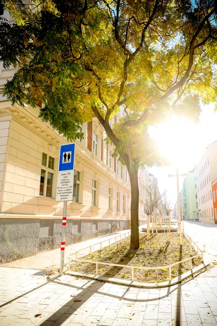 Foto: MA28/Christian Fürthner